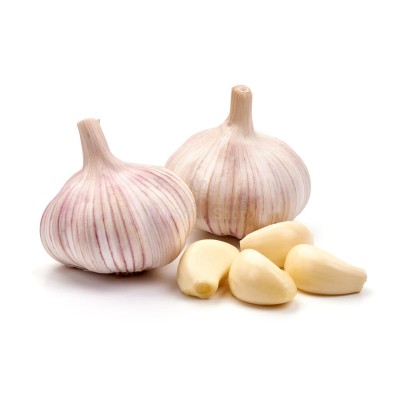 Чеснок крупный 1 кг - купить в Евлашево