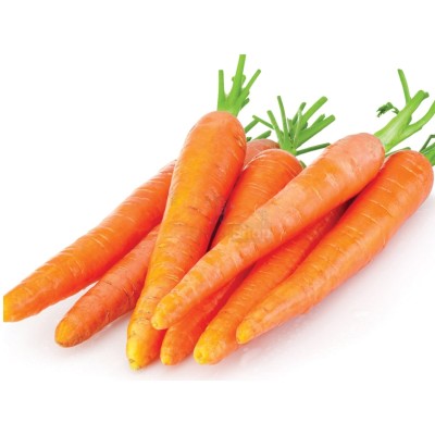 Морковь молодая 1 кг - купить в Евлашево